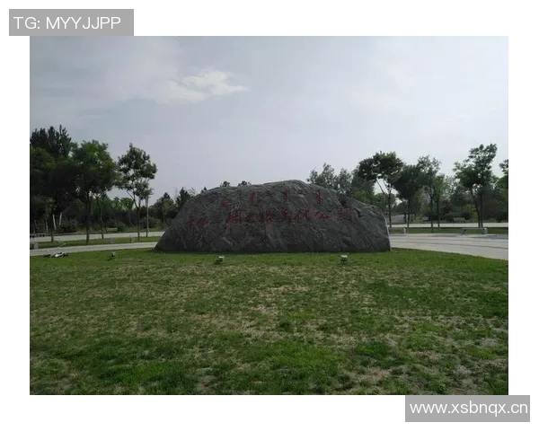 贝宁足球的重塑之路：不归门前的叹息与期待跨越半世纪的梦想